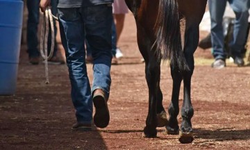 Resuelven carrera de caballos a balazos en Zacatlán