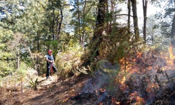 Fuego consume cinco hectáreas de matorral en Huauchinango