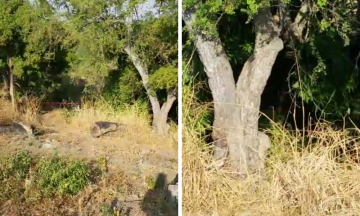 Encuentran cadáver en Izúcar 