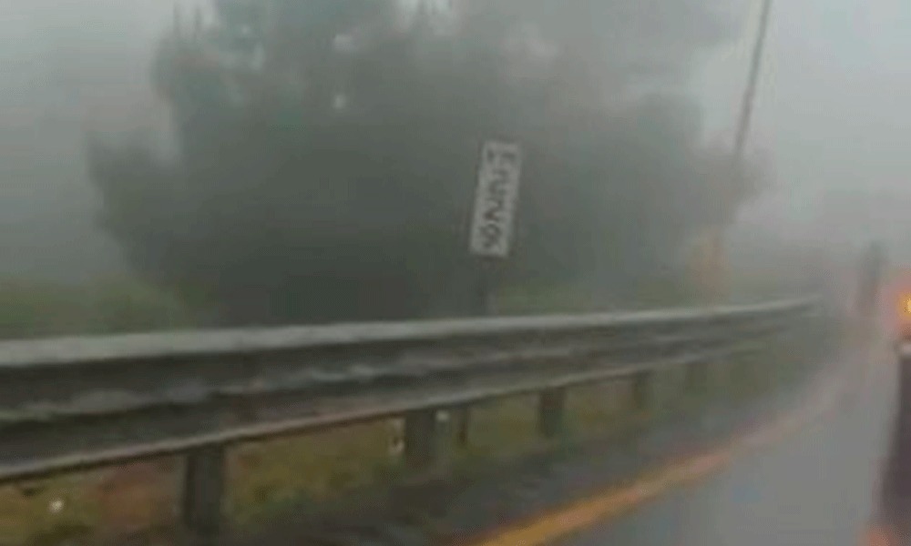 Al amparo de la neblina  roban a transportistas en la Puebla Orizaba 