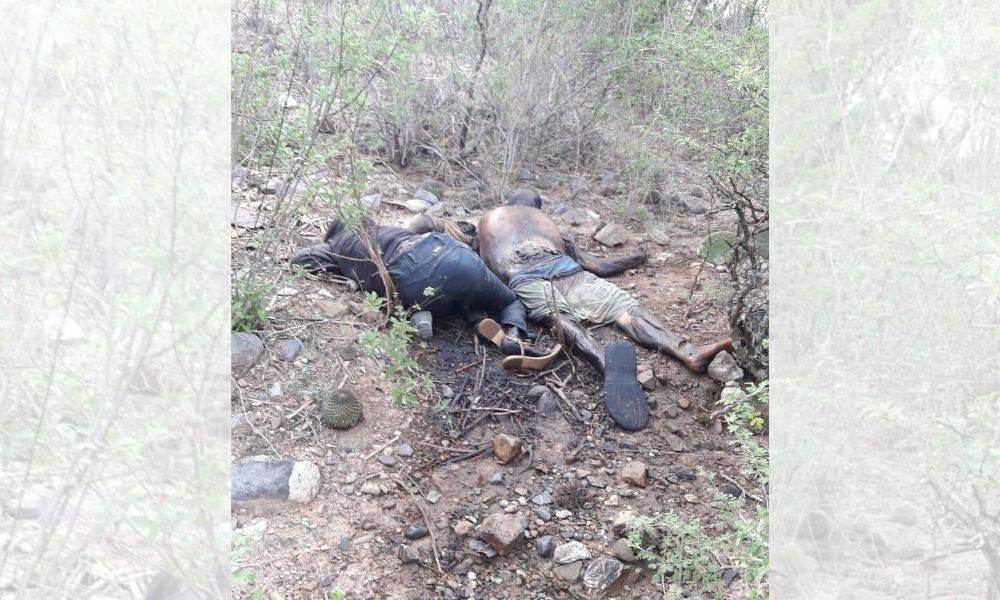 Hallan cuerpos con impactos de bala en la cabeza en Ajalpan 