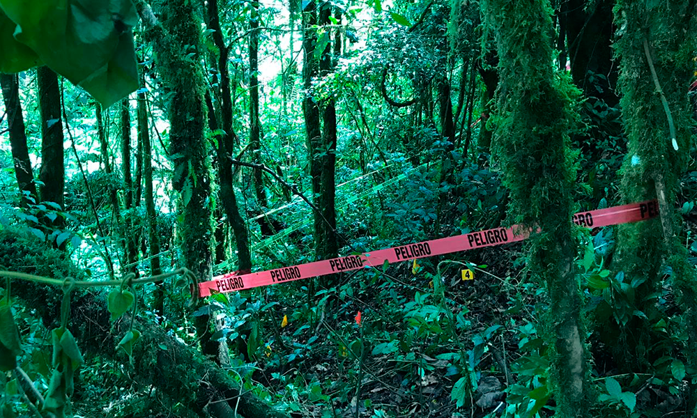 Hallan restos humanos en bosque de Xiutetelco