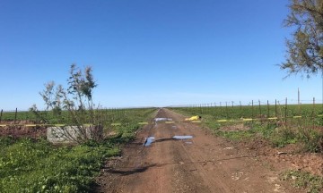 Encuentra cuerpo de mujer en Quecholac