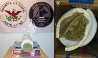 Guardia Nacional y Policía Canina asegura “mariguana poblana” en Veracruz  