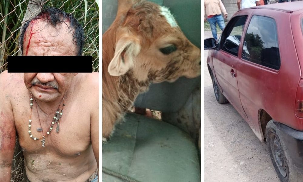 Casi linchan a ladrones de ganado en Epatlán