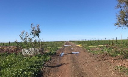 Era poblana: Identifican cuerpo encontrado en la frontera