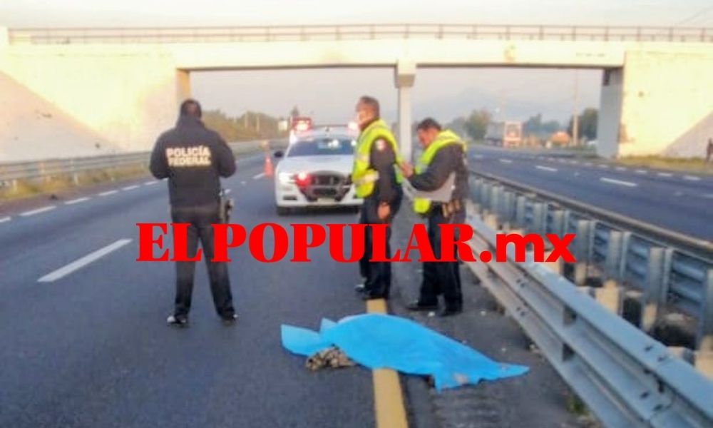Hombre intenta atravesar la autopista Puebla-Orizaba pero muere atropellado
