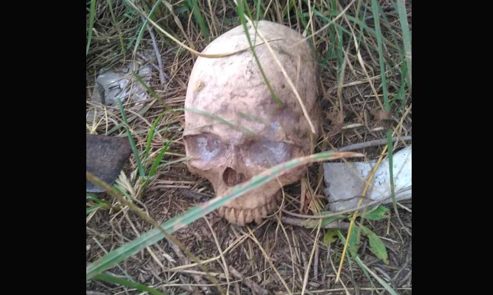 ¡Puebla se adorna sola para Halloween! Vecinos encuentran cráneo abandonado
