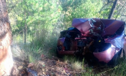 Muere trailero al chocar con un árbol en Ahuazotepec