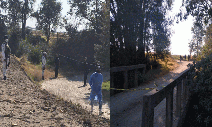 Encuentran cadáver en una barranca devorado por una jauría 