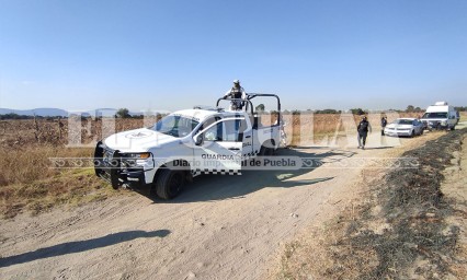 Localizan cadáver maniatado que era devorado por perros en Xonacatepec