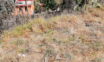 Descubren cuerpo calcinado en Xochipilco