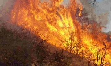 Los vulcanos lograron sofocar el fuego con chorros de agua a presión.