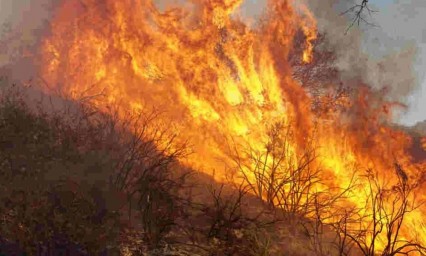 Incendio en pastizal termina con camiones calcinados