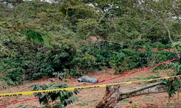 Hallan cuerpo de encargado de rancho en Jalpan, fue torturado