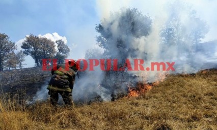 Bomberos atienden tres incendios en menos de una hora