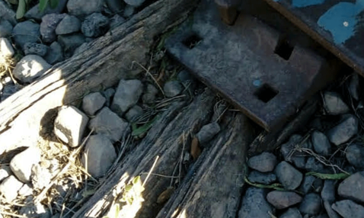 Cacos roban clavos de la vía del tren de Tehuacán para provocar un descarrilamiento 