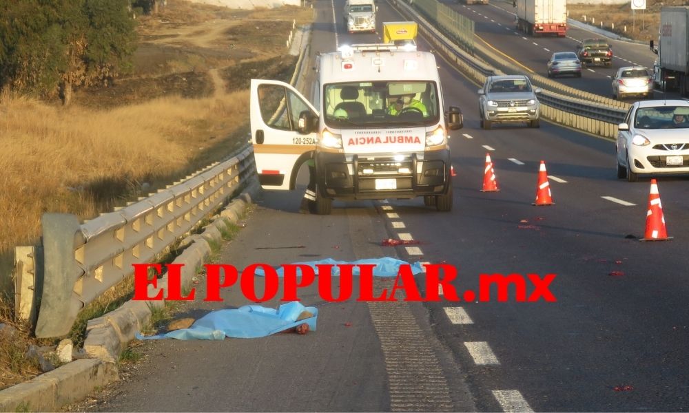 Persona muere arrollada y termina desmembrada en la autopista Puebla-Orizaba