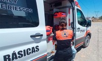 Abejas atacan a tres personas al sur de Puebla