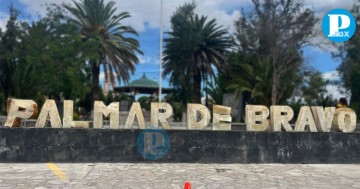 Parque de Palmar de Bravo