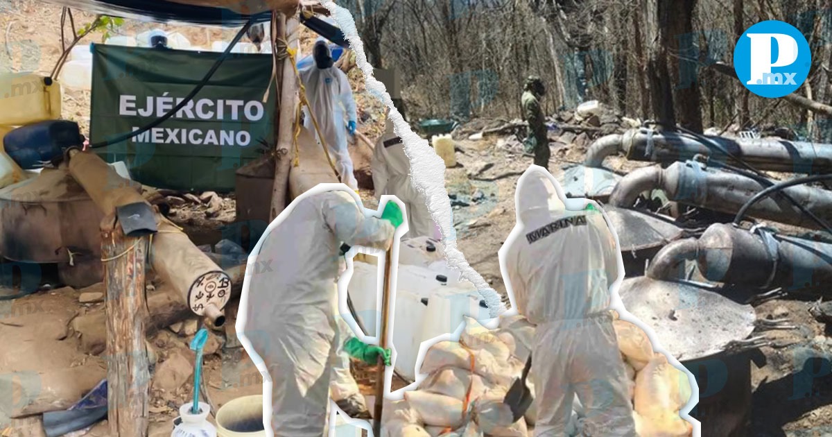 Desmantelan laboratorio clandestino en Sinaloa 