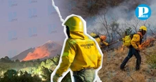 Combaten incendio en Citlaltépetl: autoridades atienden 191 incendios 