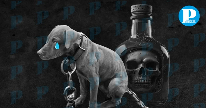 Maltrato animal en Tehuacán; envenenamiento y tortura a perritos