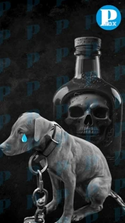 Maltrato animal en Tehuacán; envenenamiento y tortura a perritos