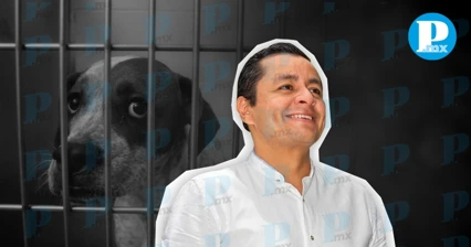 Persiste el abuso animal en Texmelucan; edil ignora compromisos animalistas