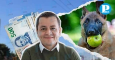 Edil de Texmelucan gasta medio millón al mes en alimentar 8 perros K-9