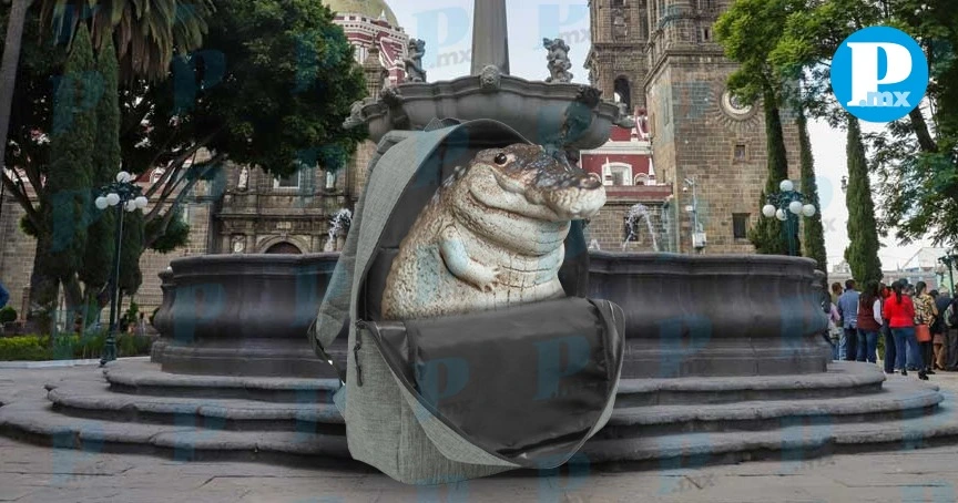 Encuentran cocodrilo de pantano en mochila abandonada en el Zócalo de Puebla