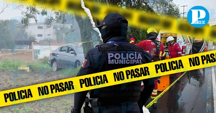 Hallan cinco cadáveres en Puebla, Coronango y Zacapoaxtla