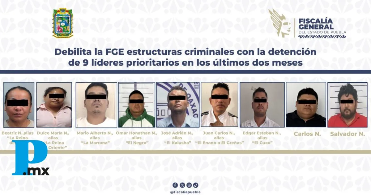 Desarticulan organizaciones vinculadas con actividades delictivas de alto impacto