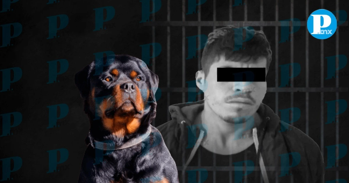 ¡Con los lomitos no! Por envenenar perros lo detienen en Chignahuapan