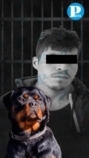 ¡Con los lomitos no! Por envenenar perros lo detienen en Chignahuapan