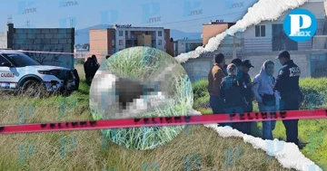 La víctima no ha sido identificada