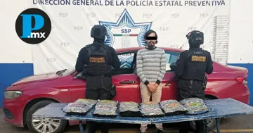Elementos de la SSP aseguraron más de 4.8 kg de presunta marihuana y un vehículo durante un operativo en Coronango, Puebla.