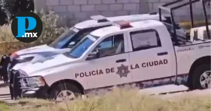 Los restos estaban siendo devorados por los perros de la zona