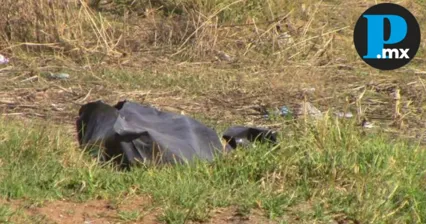 El cuerpo presentaba signos de violencia y tortura, la identidad de la víctima aún es desconocida.