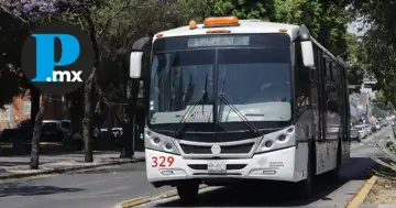 Una unidad exclusiva para mujeres de la Línea 2 de RUTA fue baleada sobre la Avenida 11 Sur