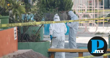 Los casos más relevantes ocurrieron en Cañada Morelos, Nopalucan, Ciudad Serdán y la Unidad Habitacional La Margarita