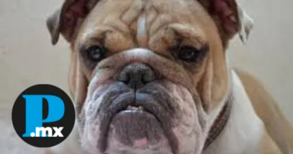 Ciudadanos exigen que se investigue el actuar del presunto elemento de la Policía Estatal 