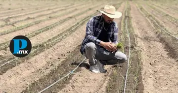 El Toñín comenzó a difundir sus actividades y apoyos a través de redes sociales