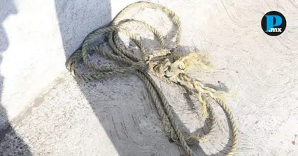 Puebla report&oacute; 152 intentos de linchamiento en 2025; solo dos se consumaron