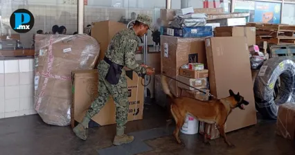 Paqueter&iacute;as de Oaxaca son investigadas por env&iacute;os de drogas y armas