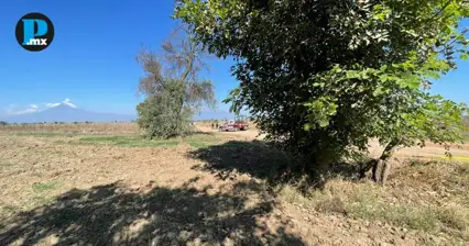  Fiscal&iacute;a investiga el hallazgo de un cuerpo en Coronango