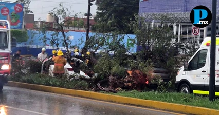 Lluvia y fuertes vientos provocan tragedia en la Recta a Cholula