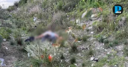 Encuentran dos cad&aacute;veres cerca de la autopista Puebla-Orizaba, en Acatzingo