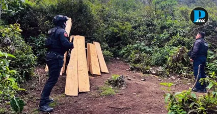 Puebla acumula ocho operativos contra delitos forestales en tres meses