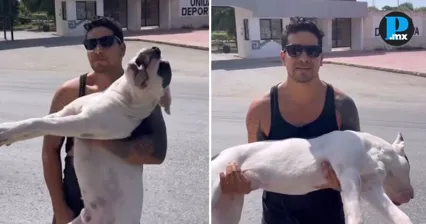Fiscal&iacute;a investiga presunto envenenamiento de perros en parque de Tulum